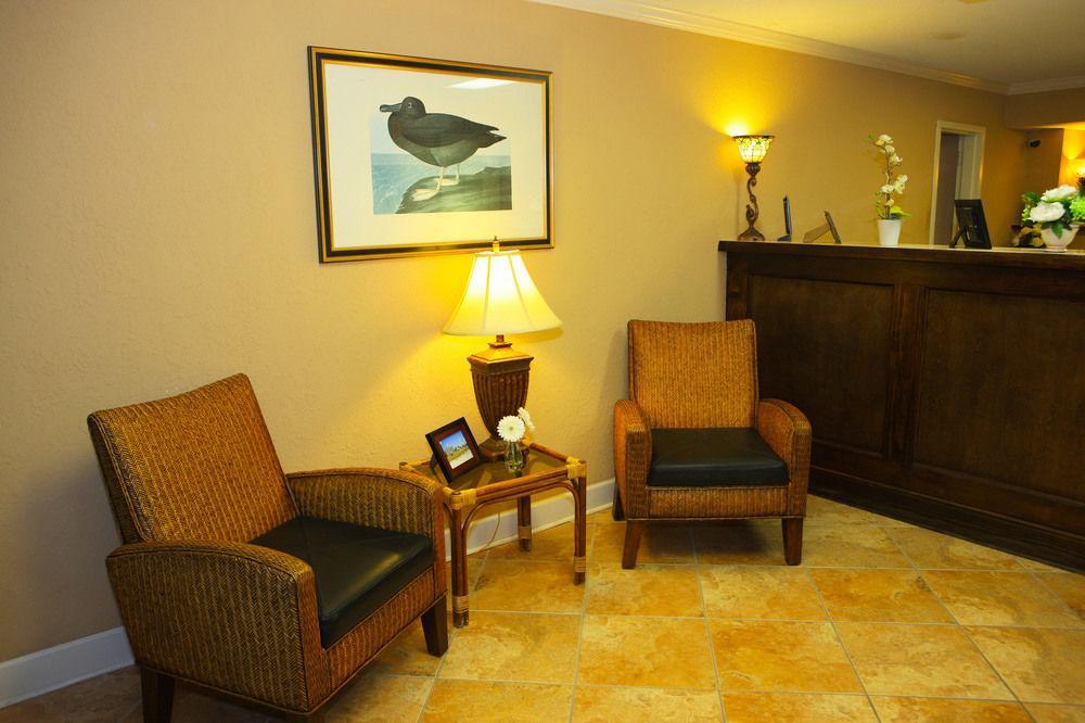 מירטל ביץ' Cabana Shores Hotel מראה חיצוני תמונה